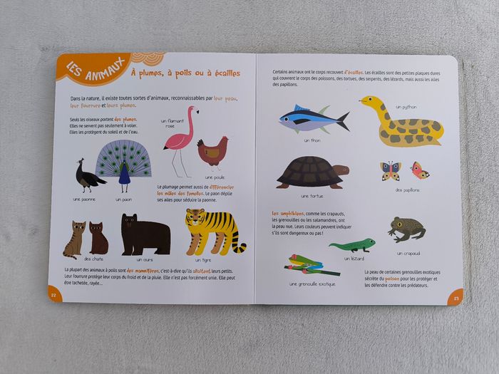 Le livre de découvertes de mes 4 ans Gründ - photo numéro 5