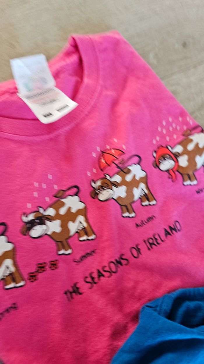 Gros lot 10 t shirt 4 ans - photo numéro 4