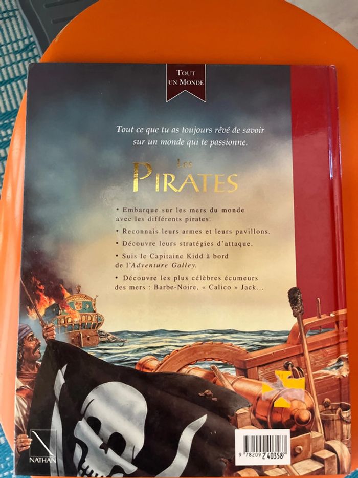 Encyclopédie les pirates - photo numéro 2