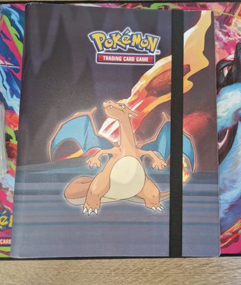 Portfolio Pokemon Dracaufeu 