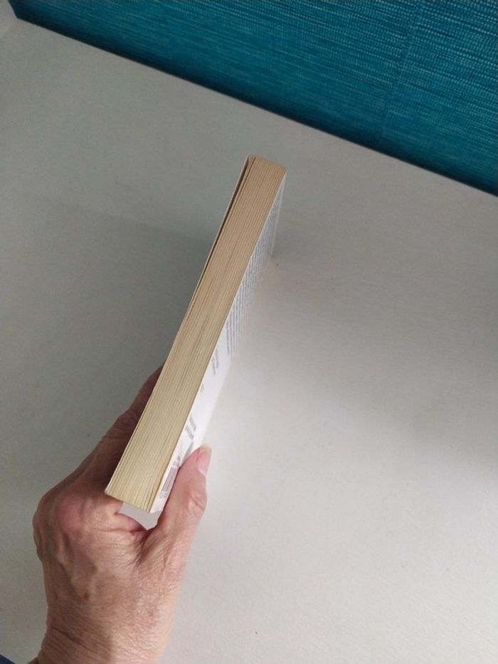 Miracle à Speedy Motors - photo numéro 5