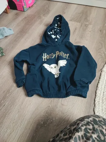 Sweat Harry Potter