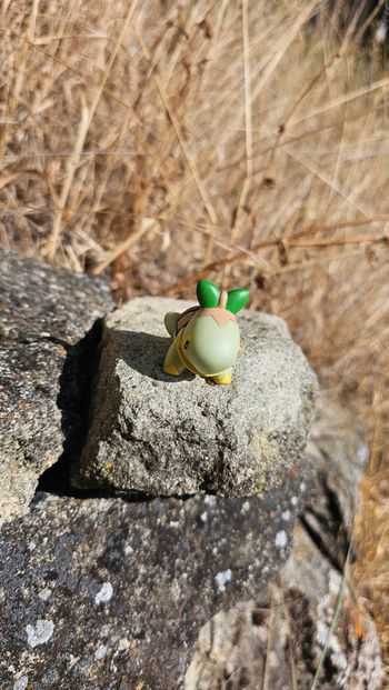 Super figurine Pokemon Nintendo finger puppet tortipouss