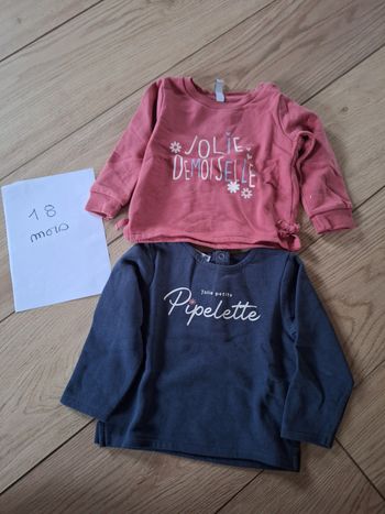 Lot 2 pulls bébé fille 18 mois