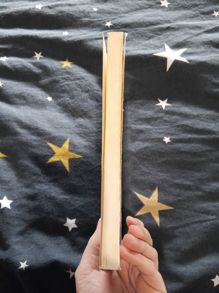 Livre (101) 📚 Entre-deux - photo numéro 4