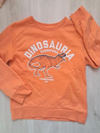 Pull manches longues