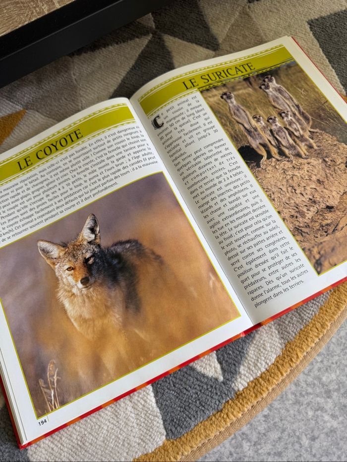 Encyclopédie des animaux📚 - photo numéro 3