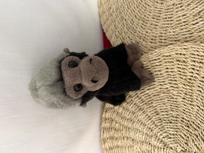 doudou Gorille dos argenté, singe primate doudi - photo numéro 5