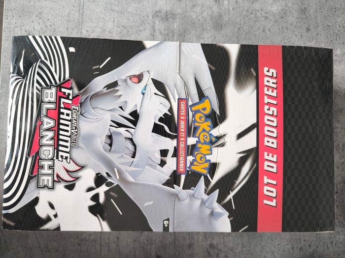 Display de bundle pokemon Flamme blanche 10.5