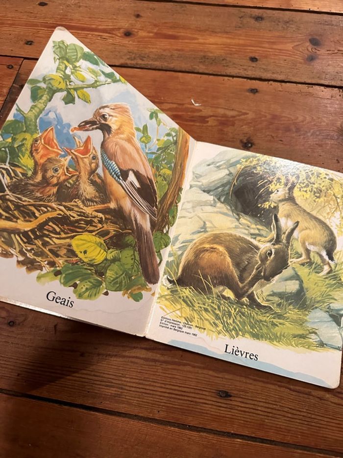 Livre album imagier carton ancien vintage à la campagne animaux forêt Hemma collection Aurore - photo numéro 6