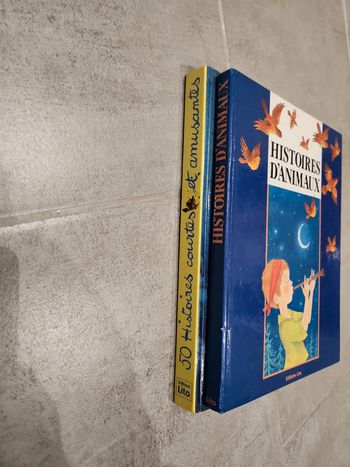 Lot de 2 livre enfants : histoire pour le soir