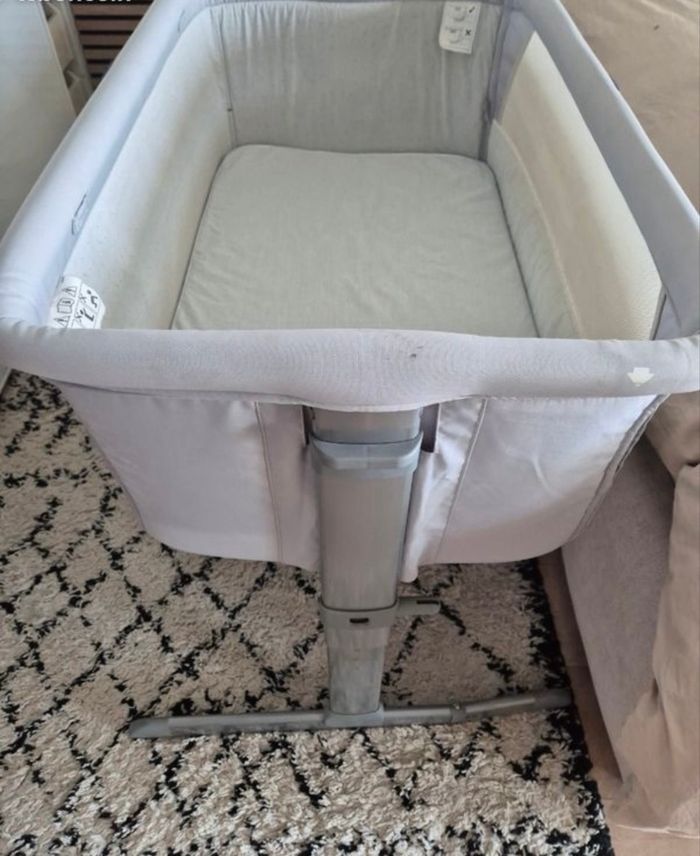 Cododo chicco - photo numéro 3