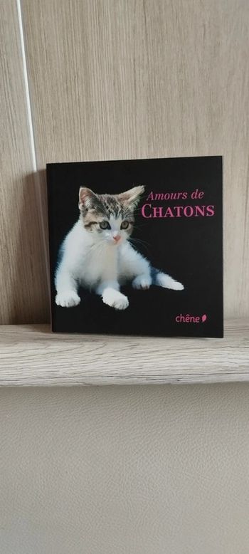 Amours de chatons