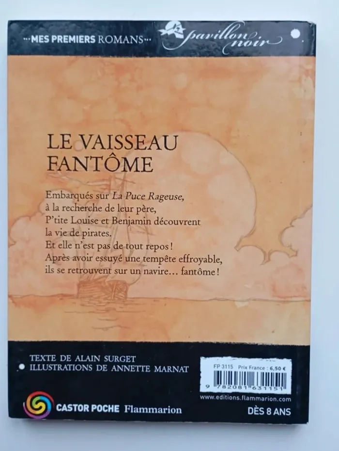 Pavillon Noir : le vaisseau fantôme - photo numéro 2