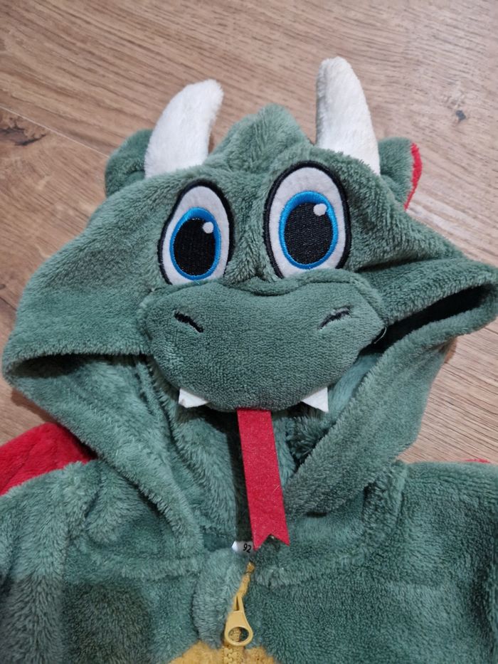 Combi dragons - photo numéro 2