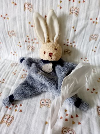 Doudou et compagnie lapin mouchoir