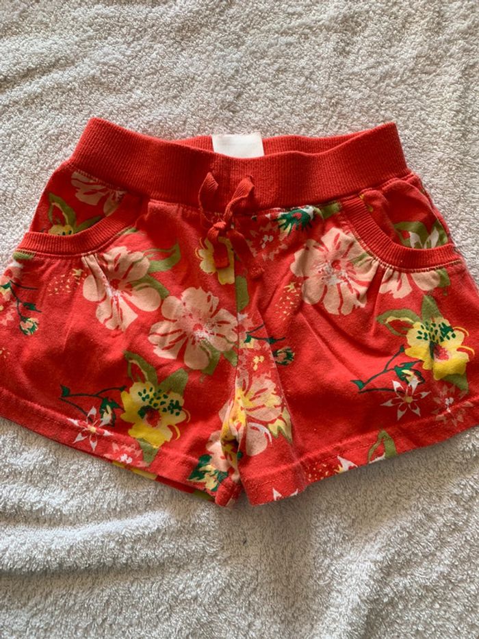 Lot shorts - photo numéro 4