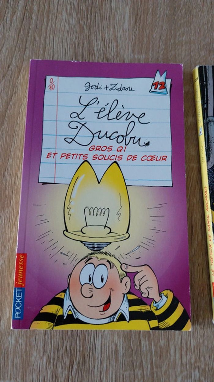 Livres Ducobu - photo numéro 3