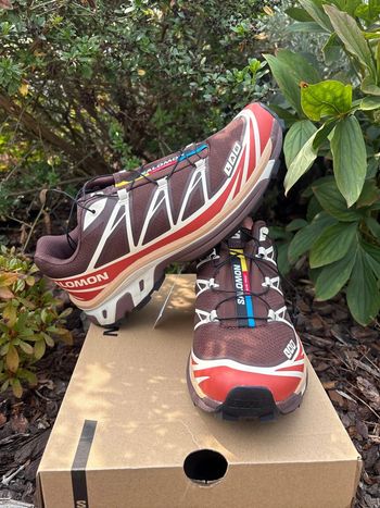 Salomon XT-6 roasted clay 44
