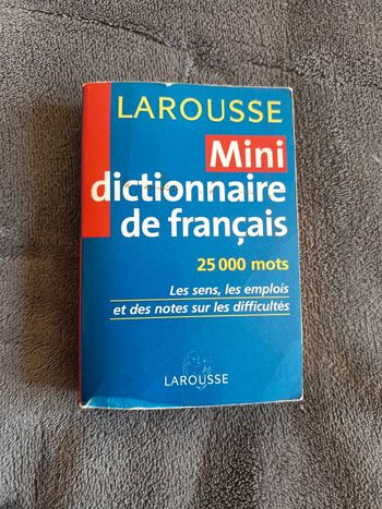 Mini dictionnaire de français