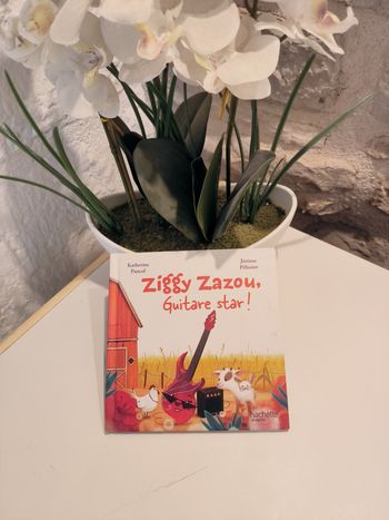 livre ziggy zazou guitar star en tres bon etat