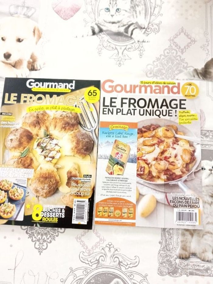 Lot de 2 livres de recettes