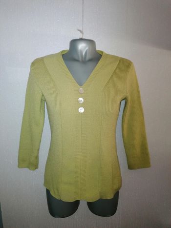 Pull léger pistache Scottage T1