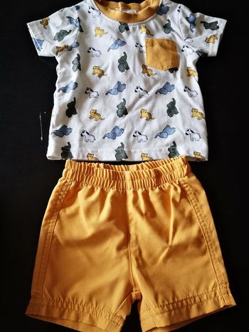 Ensemble animaux 3mois