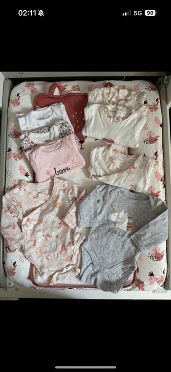 Lot bodies