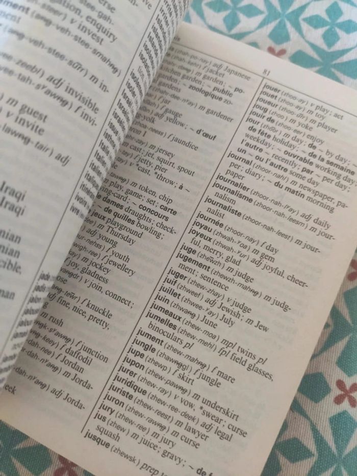 Berlitz petit dictionnaire anglais - français - photo numéro 6