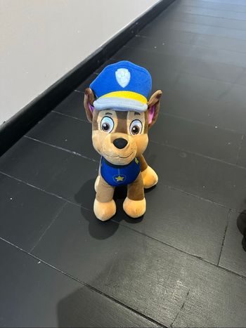 Peluche Chase