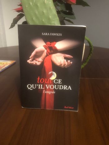 Tout ce qu’il voudra - Sara Fawkes 