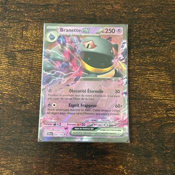 Carte Pokémon - Branette Ex