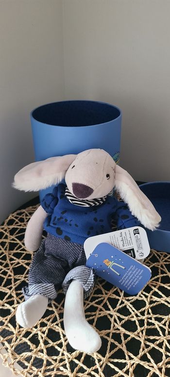 Moulin Roty Chien Pilou Bleu - Puce & Pilou