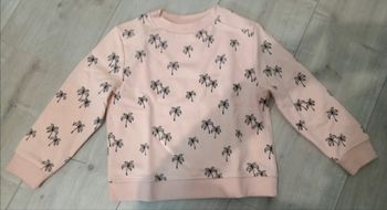 Pull palmier