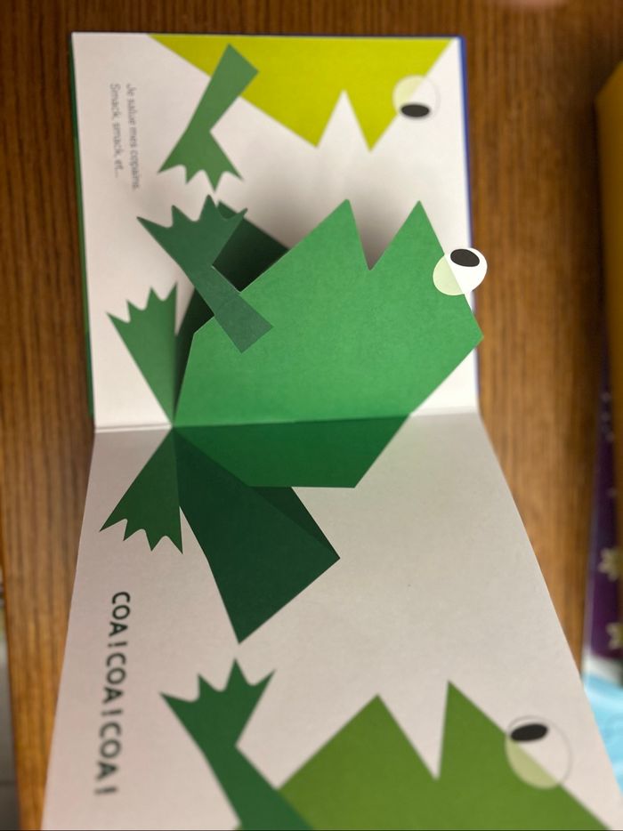 Livre la grenouille - photo numéro 3