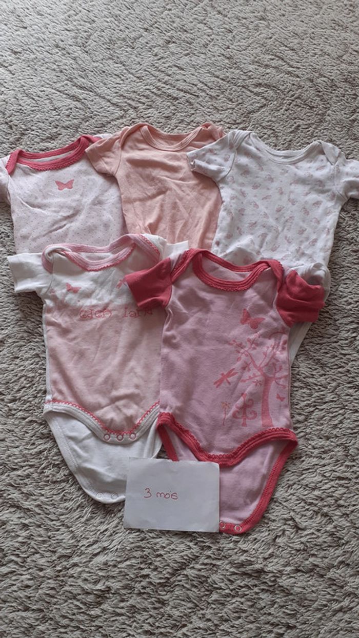 Lot de 5 bodies manches courtes 3 mois