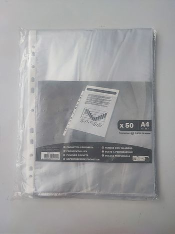 50 pochettes perforées