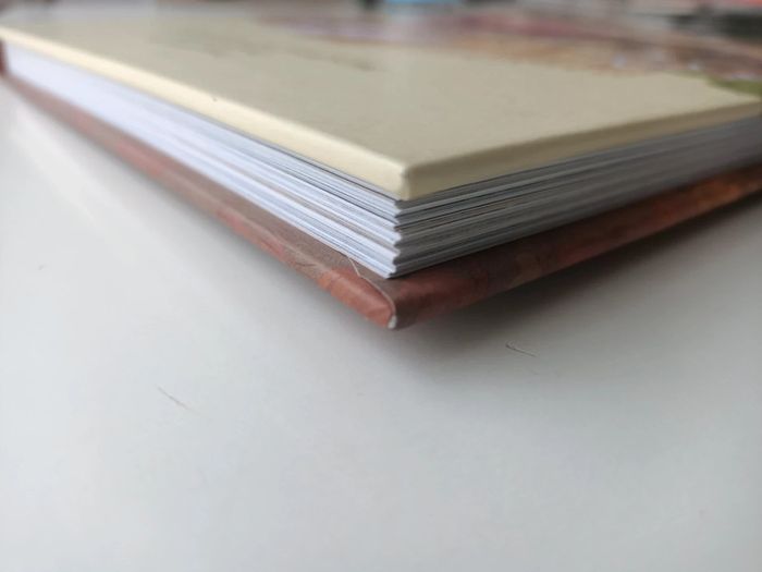 BD mémoires de Marie-Antoinette tome 1 Versailles - photo numéro 8