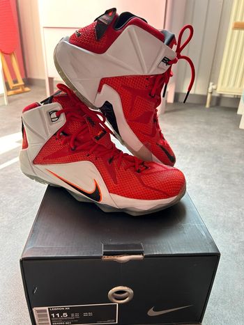 Nike Lebron XII 45.5