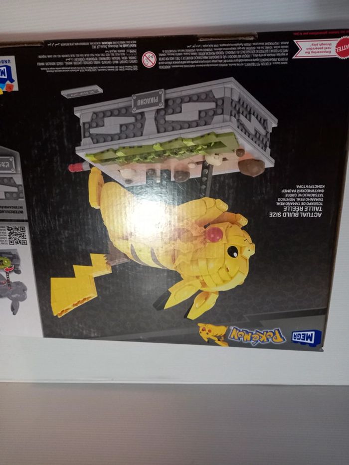 Mega pikachu - photo numéro 6