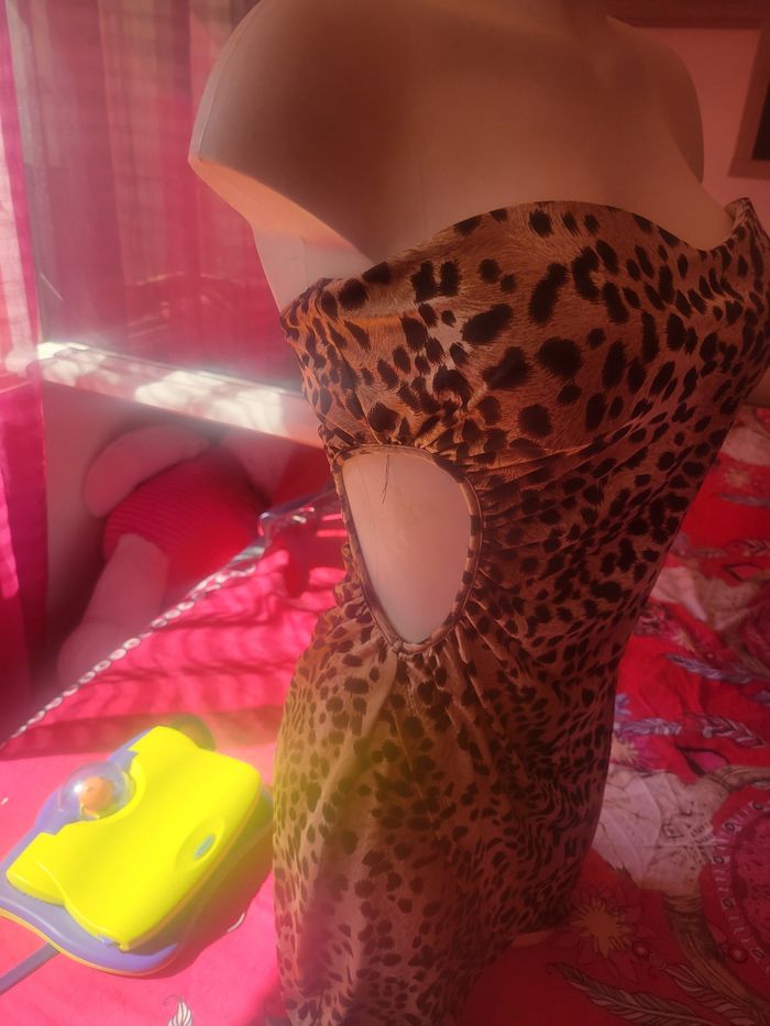 Jolie robe - photo numéro 3