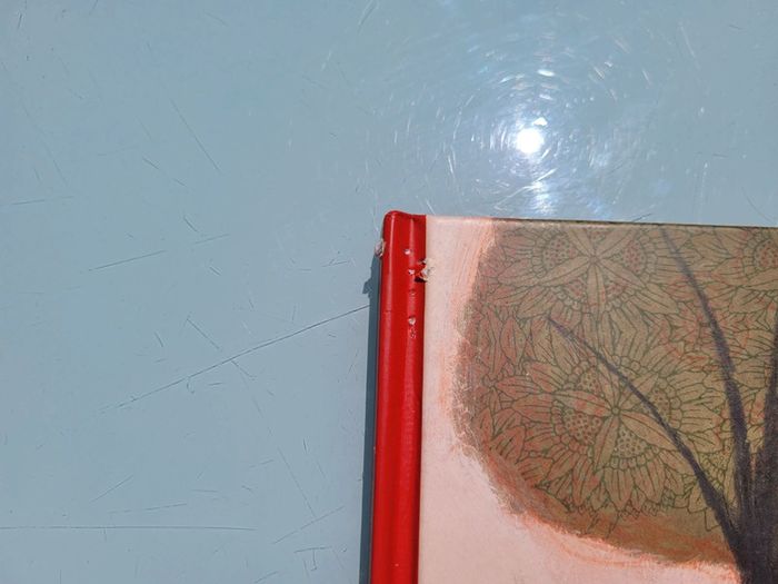 Très beau livre L'oiseau 🦅 de Mona, éditions Rue du Monde - photo numéro 9