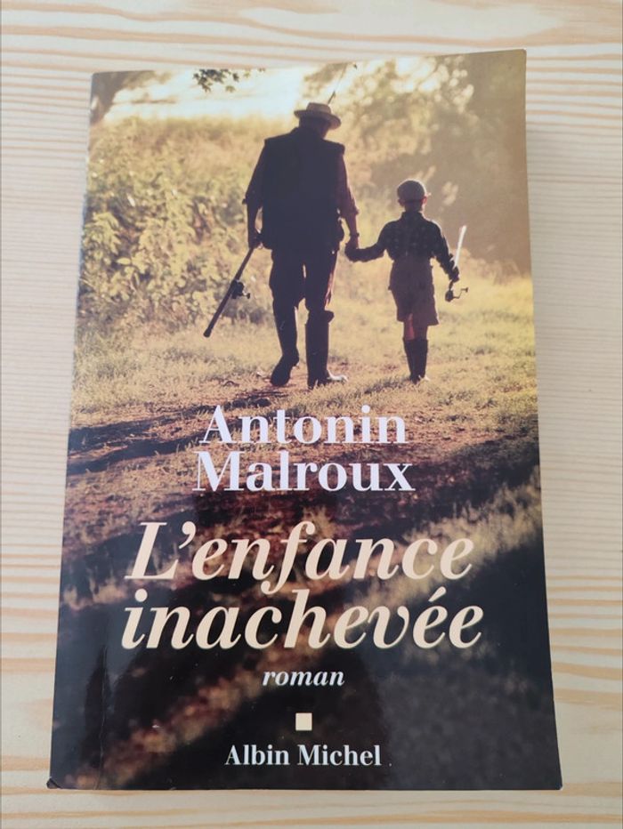 Antonin Malroux 🌸 L'enfance inachevée - photo numéro 1