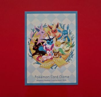 1 sleeve pokemon