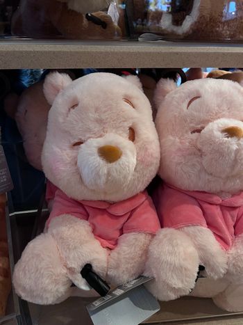 Peluche Pastel Winnie Disneyland paris