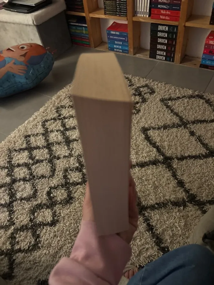 Heroes - photo numéro 3