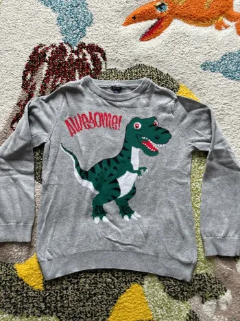 Pull inter-saison dinosaure 8 ans