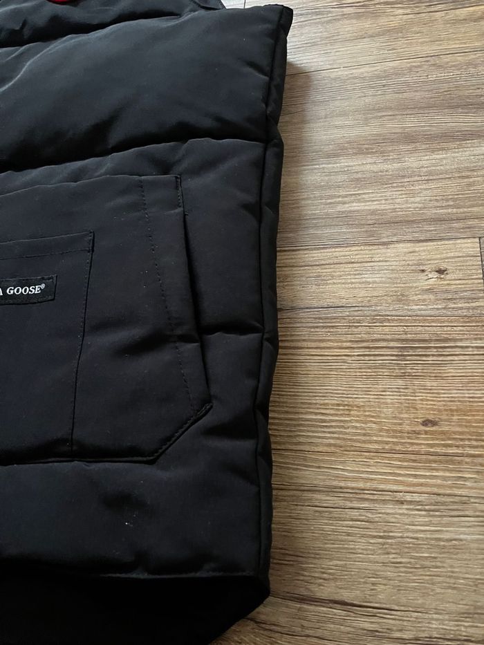 Canada goose - photo numéro 10