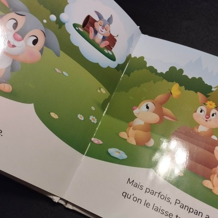 Livre enfant Disney mes premières histoires panpan - photo numéro 3